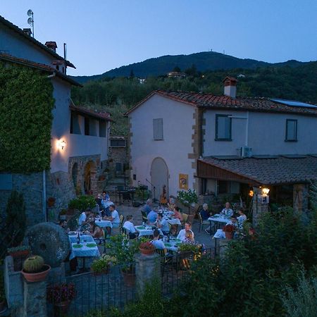 Agriturismo Borgo Mocale Castelfranco di Sopra エクステリア 写真