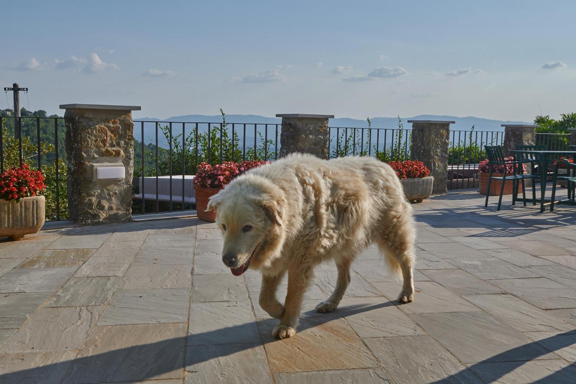 Agriturismo Borgo Mocale Castelfranco di Sopra エクステリア 写真